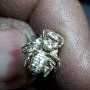 Photos de l'abeille en cours de fabrication par Alain Valette