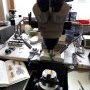 Photos de l'abeille en cours de fabrication par Alain Valette