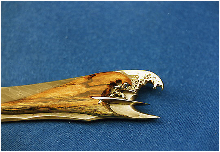 surfeur detail